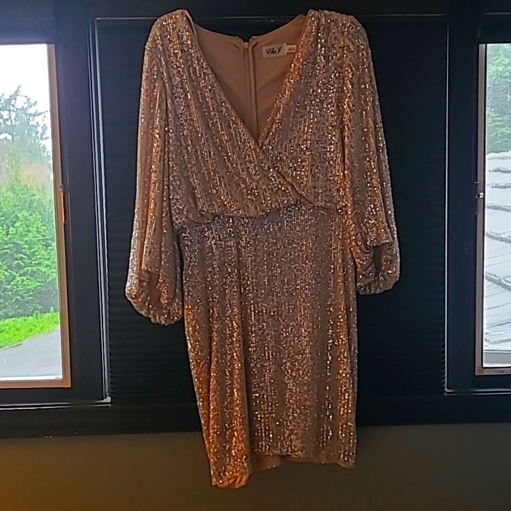 Gold sequin knee length dress
